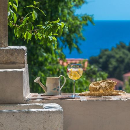 Villa Flores Garden Dubrovnik Dış mekan fotoğraf